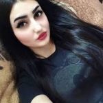 شات إب - دردشة اليمن