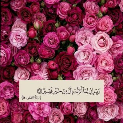 ༺{   ♡المتحابين فى الله ♥︎}♡༻