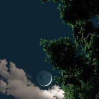 جروب اقوال  - رفقة واصدقاء واشخاص جدد