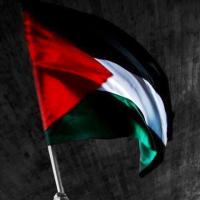 فلسطين  💚✌️💚🇵🇸