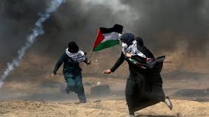 فلسطين